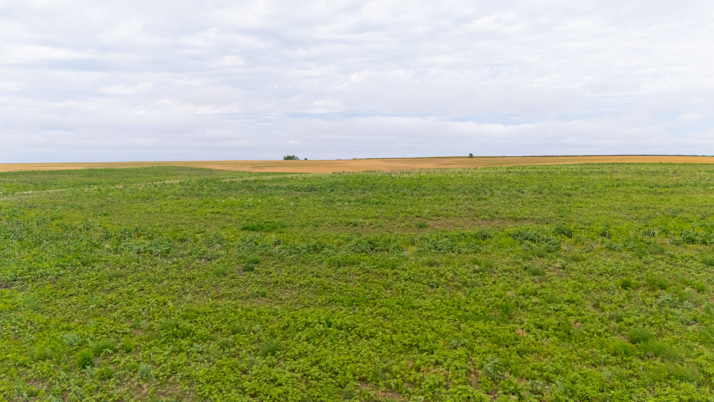 Crandall's Corner Tract 7 photo 9