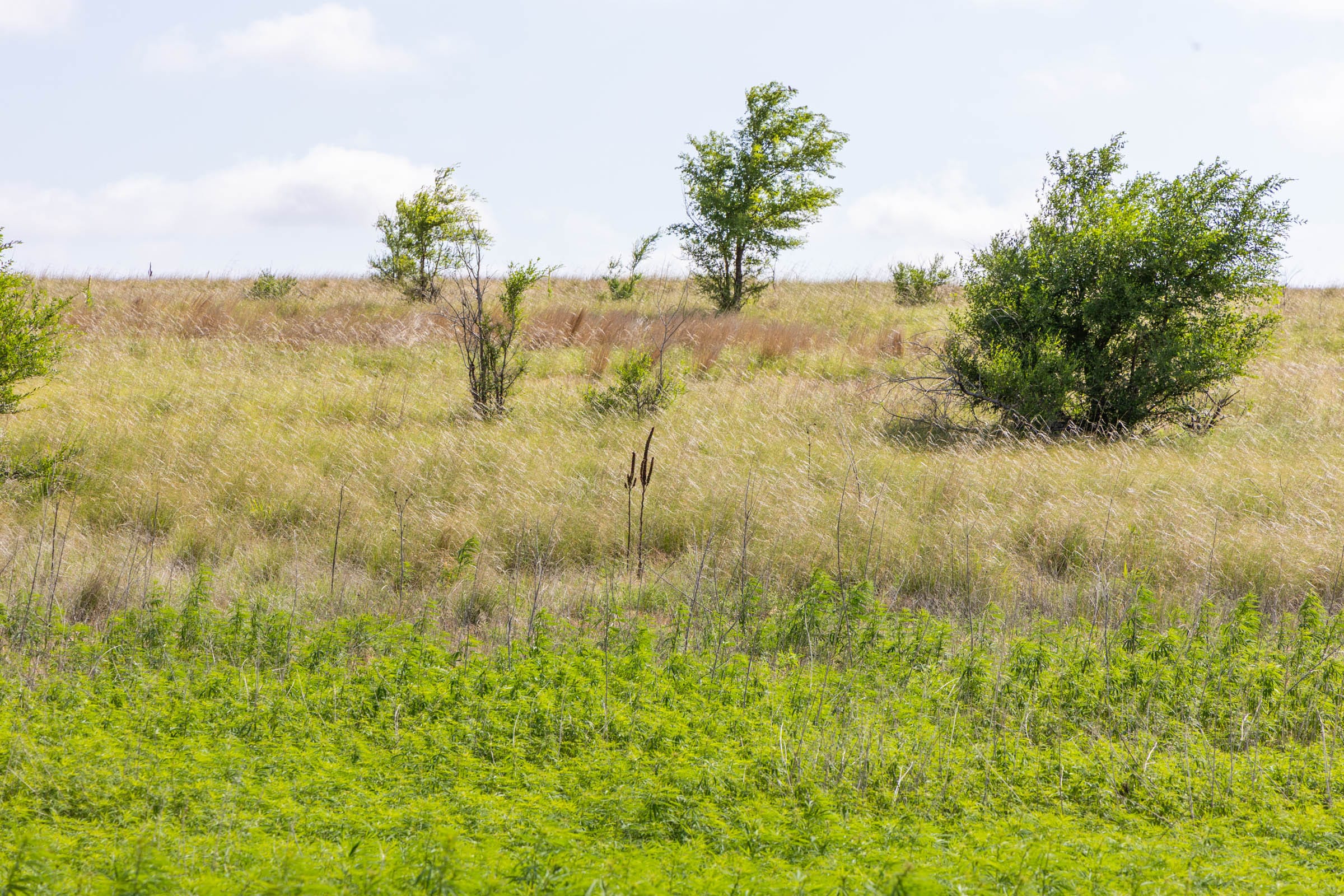 Crandall's Corner Tract 7 photo 3