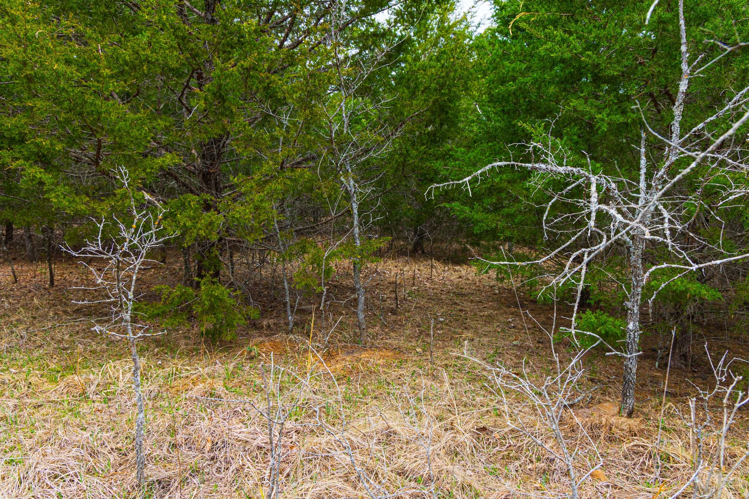 Reserves At Cattail Cove Phase I Tract 3 photo 12