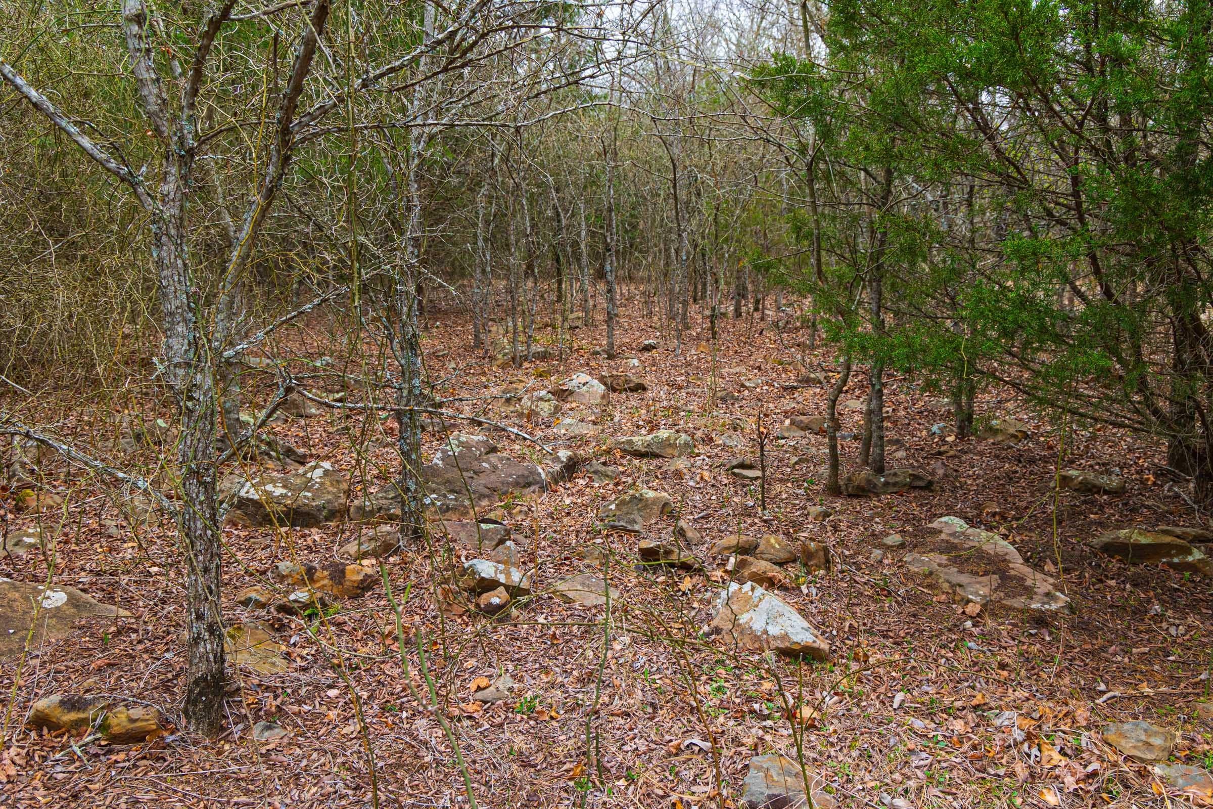 Reserves At Cattail Cove Phase I Tract 3 photo 11