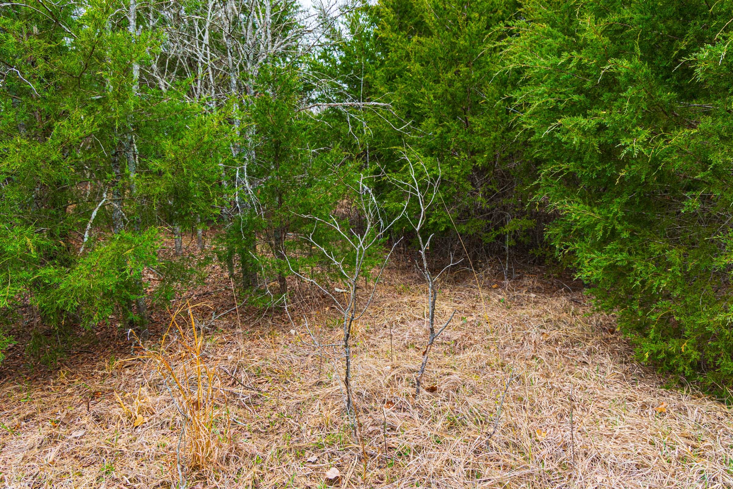 Reserves At Cattail Cove Phase I Tract 3 photo 9