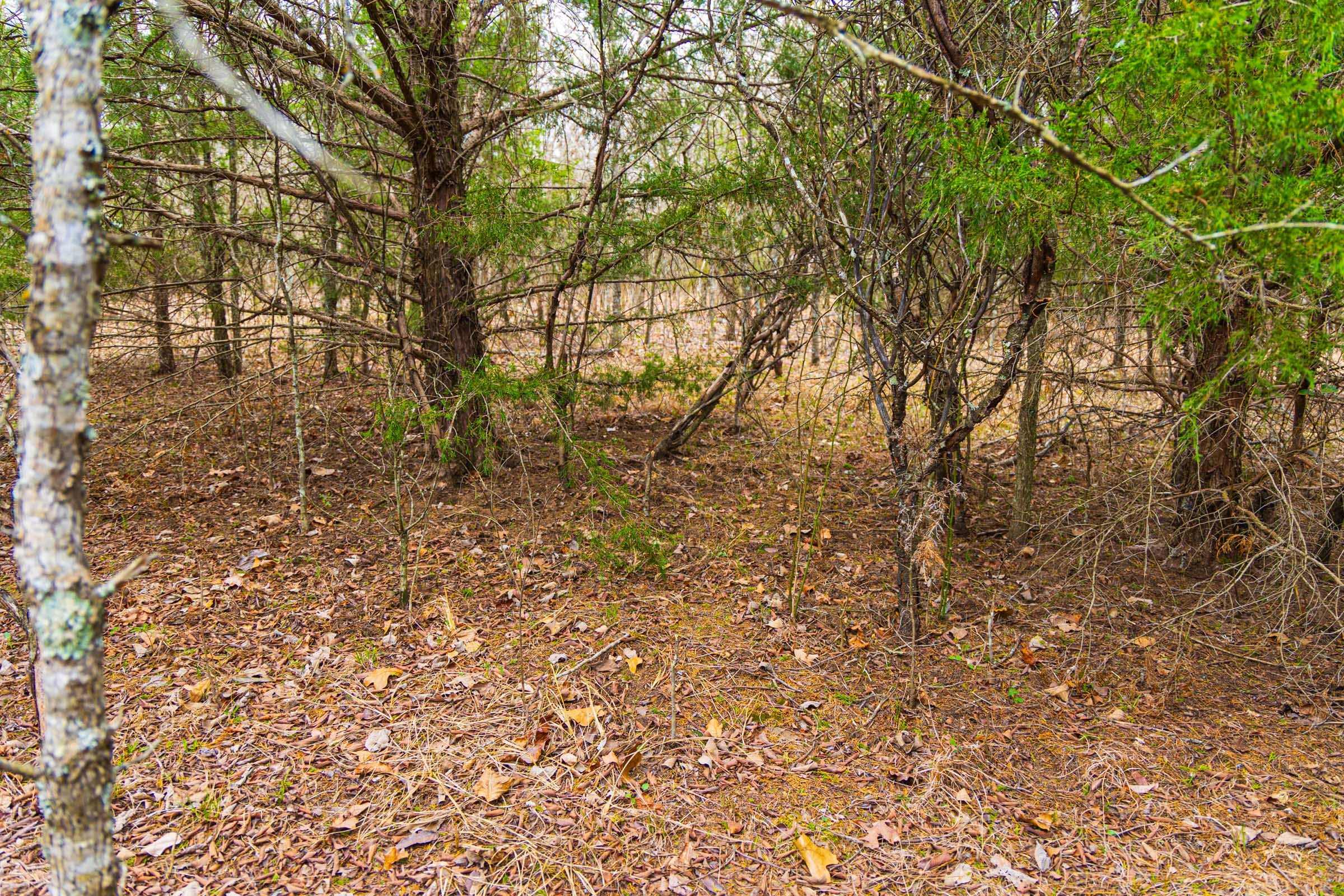Reserves At Cattail Cove Phase I Tract 3 photo 8