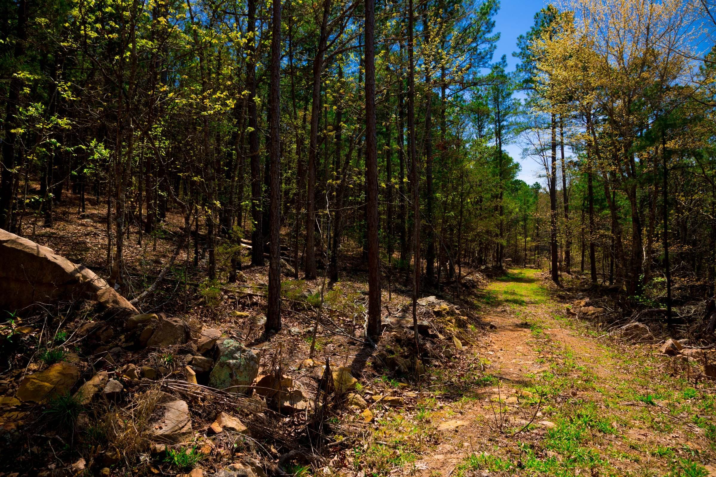 Stone Creek Phase II Tract 214 photo 5