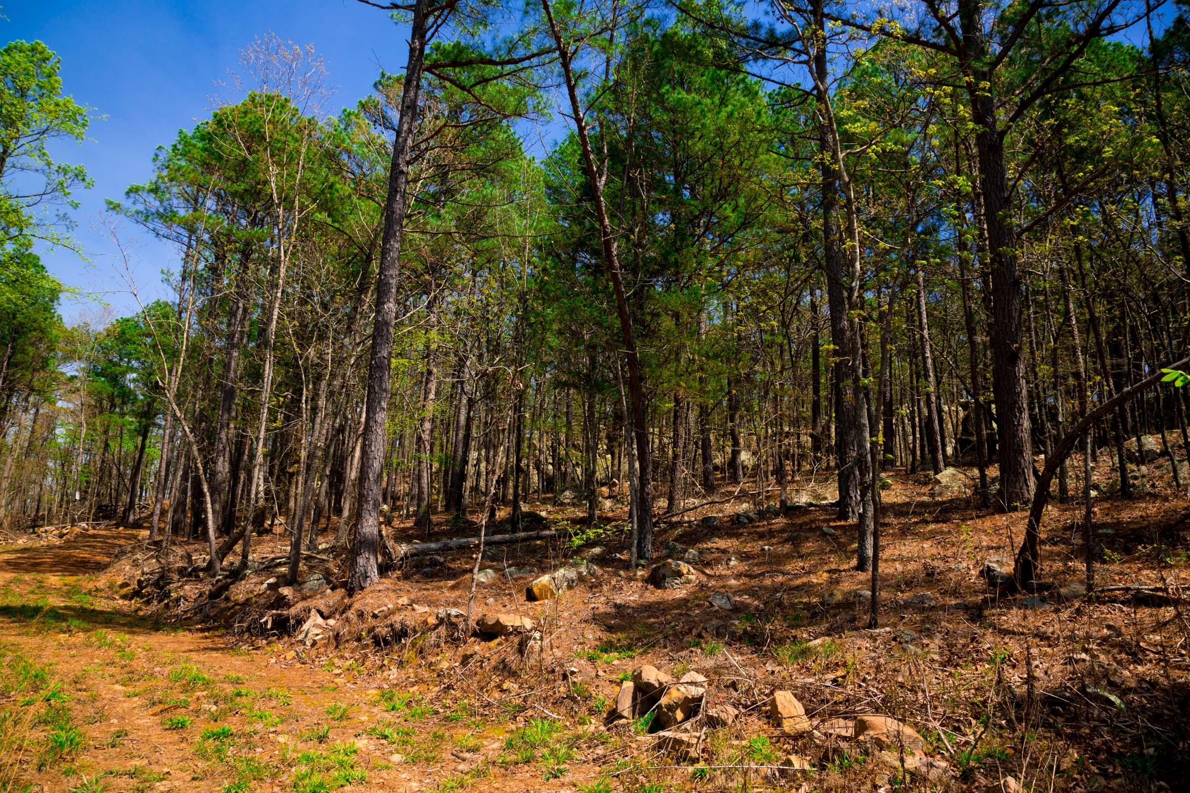 Stone Creek Phase II Tract 214 photo 6