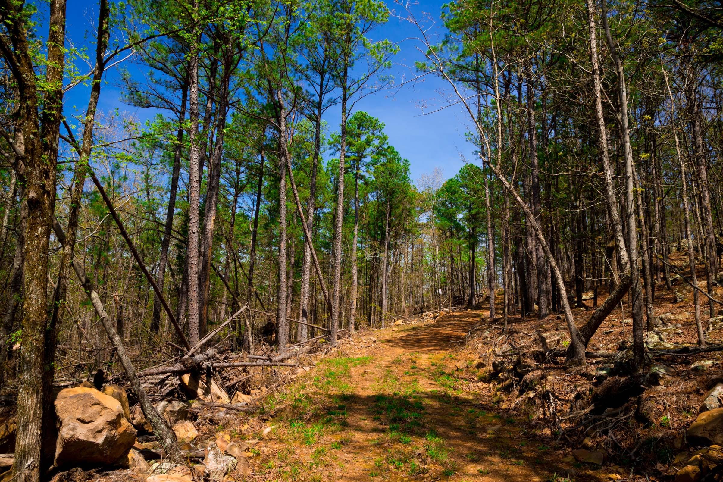 Stone Creek Phase II Tract 214 photo 7