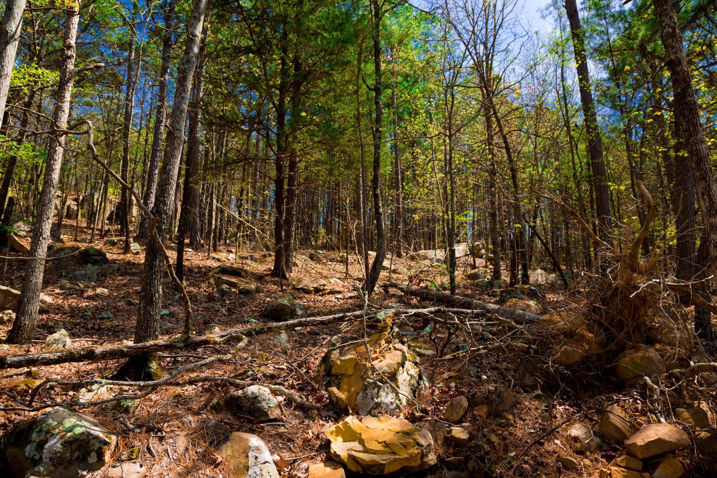 Stone Creek Phase II Tract 214 photo 4