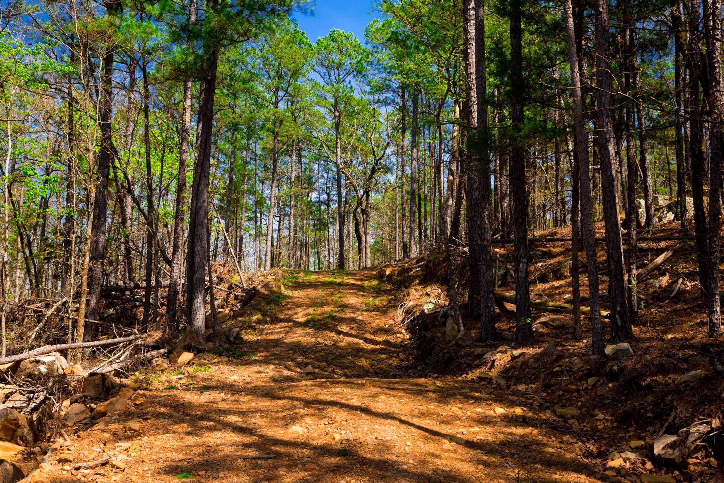 Stone Creek Phase II Tract 214 photo 2