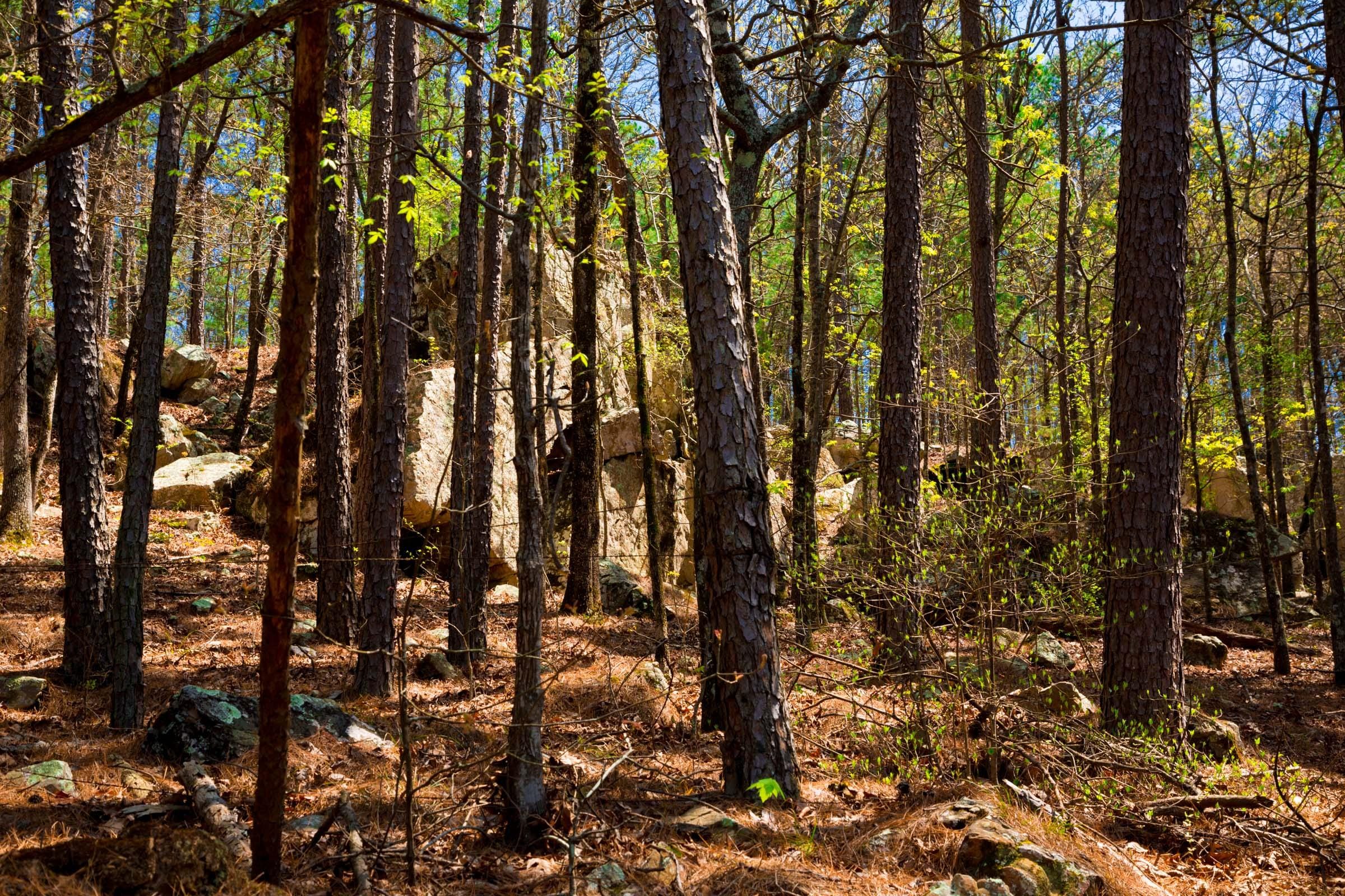 Stone Creek Phase II Tract 214 photo 9