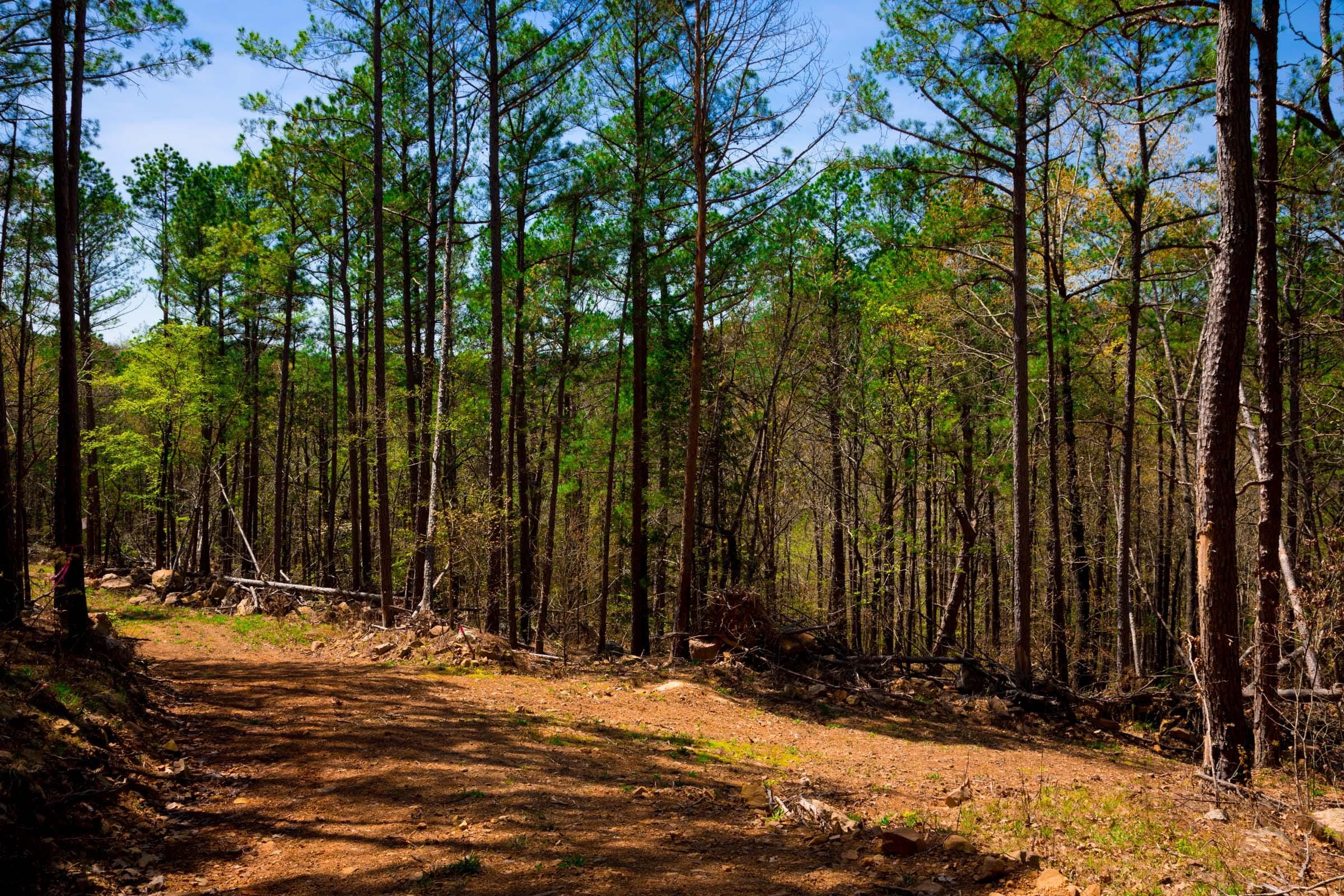 Stone Creek Phase II Tract 214 photo 10
