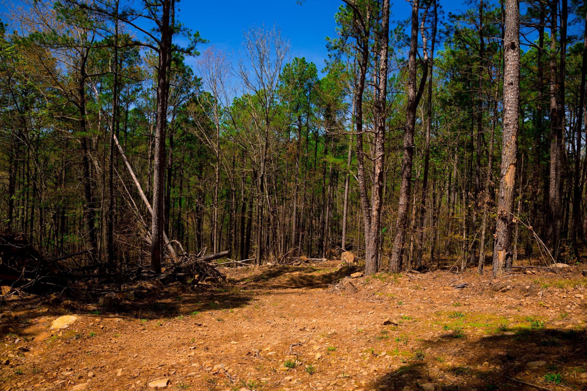 Stone Creek Phase II Tract 214 photo 12