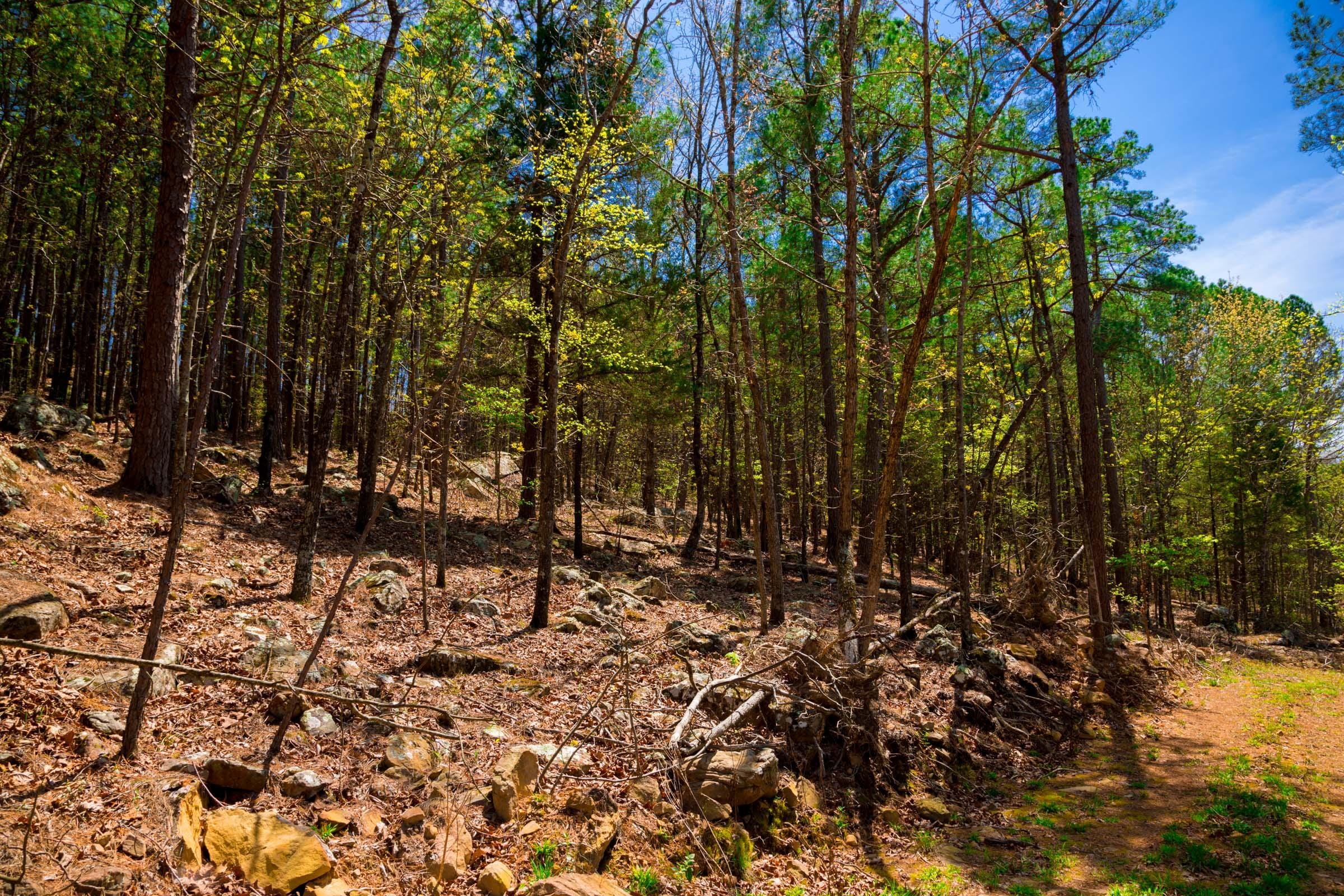 Stone Creek Phase II Tract 214 photo 14