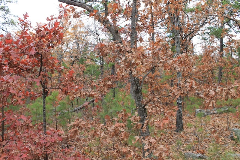 Indian Ridge – Phase I Tract 2 photo 2