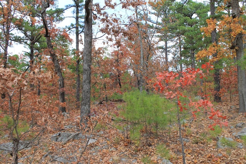 Indian Ridge – Phase I Tract 2 photo 3