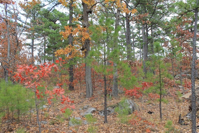 Indian Ridge – Phase I Tract 2 photo 4