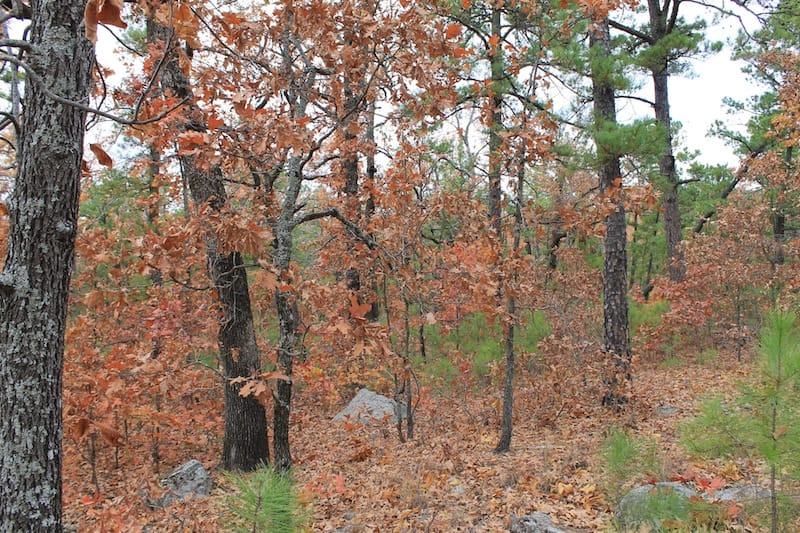 Indian Ridge – Phase I Tract 2 photo 5