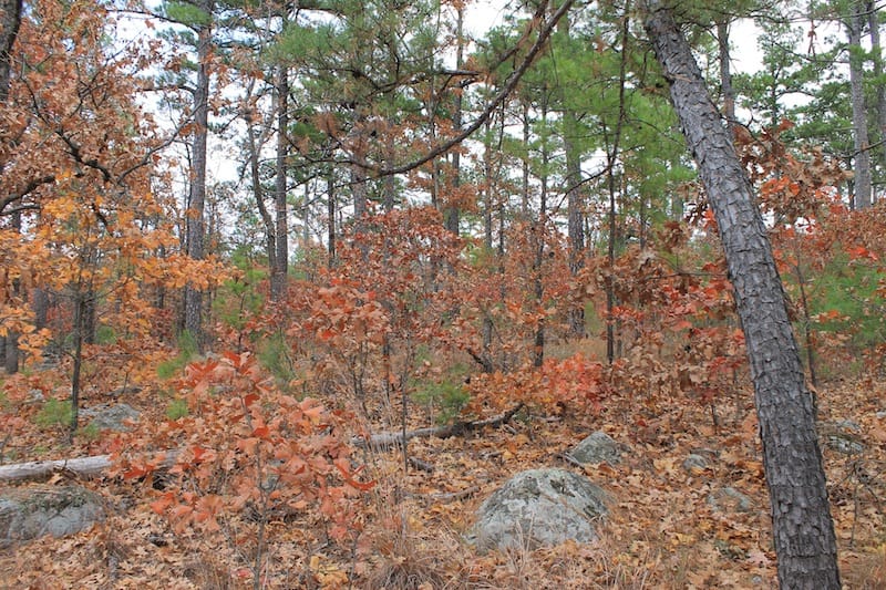 Indian Ridge – Phase I Tract 2 photo 6