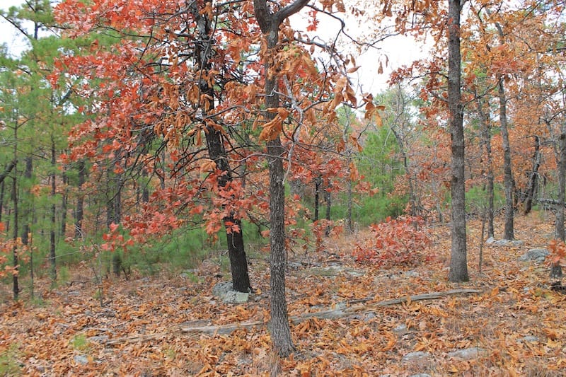 Indian Ridge – Phase I Tract 2 photo 7