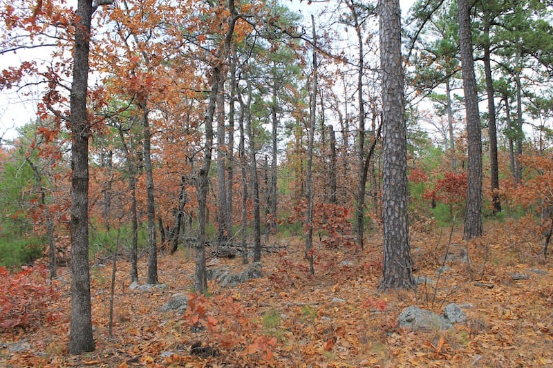Indian Ridge – Phase I Tract 2 photo 8