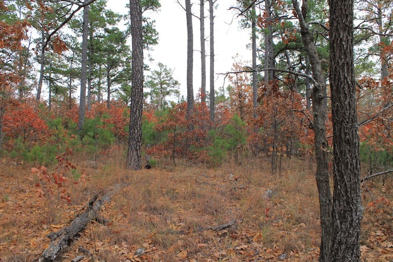 Indian Ridge – Phase I Tract 2 photo 9