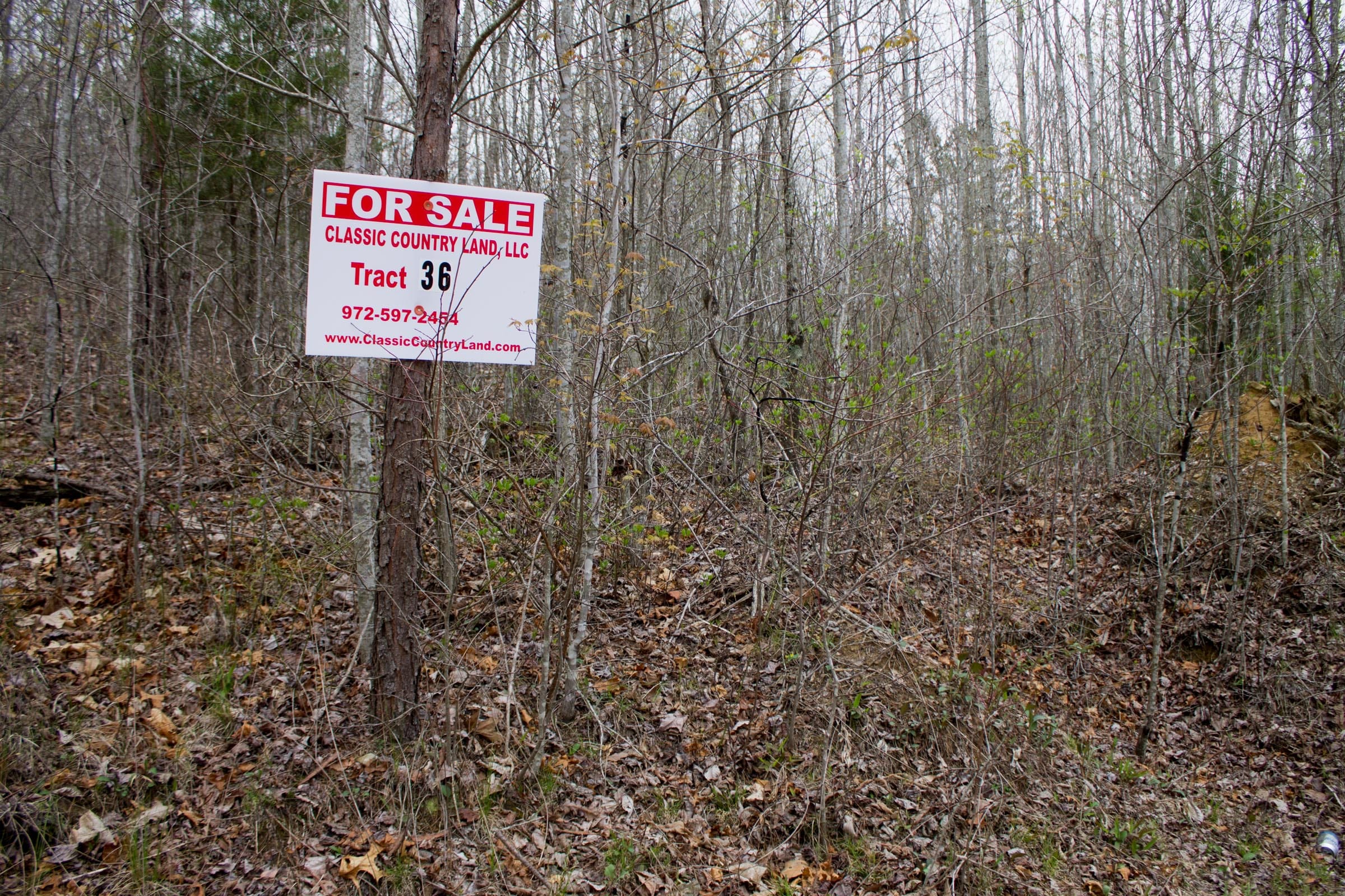 Hidden Hills Tract 36 photo 1