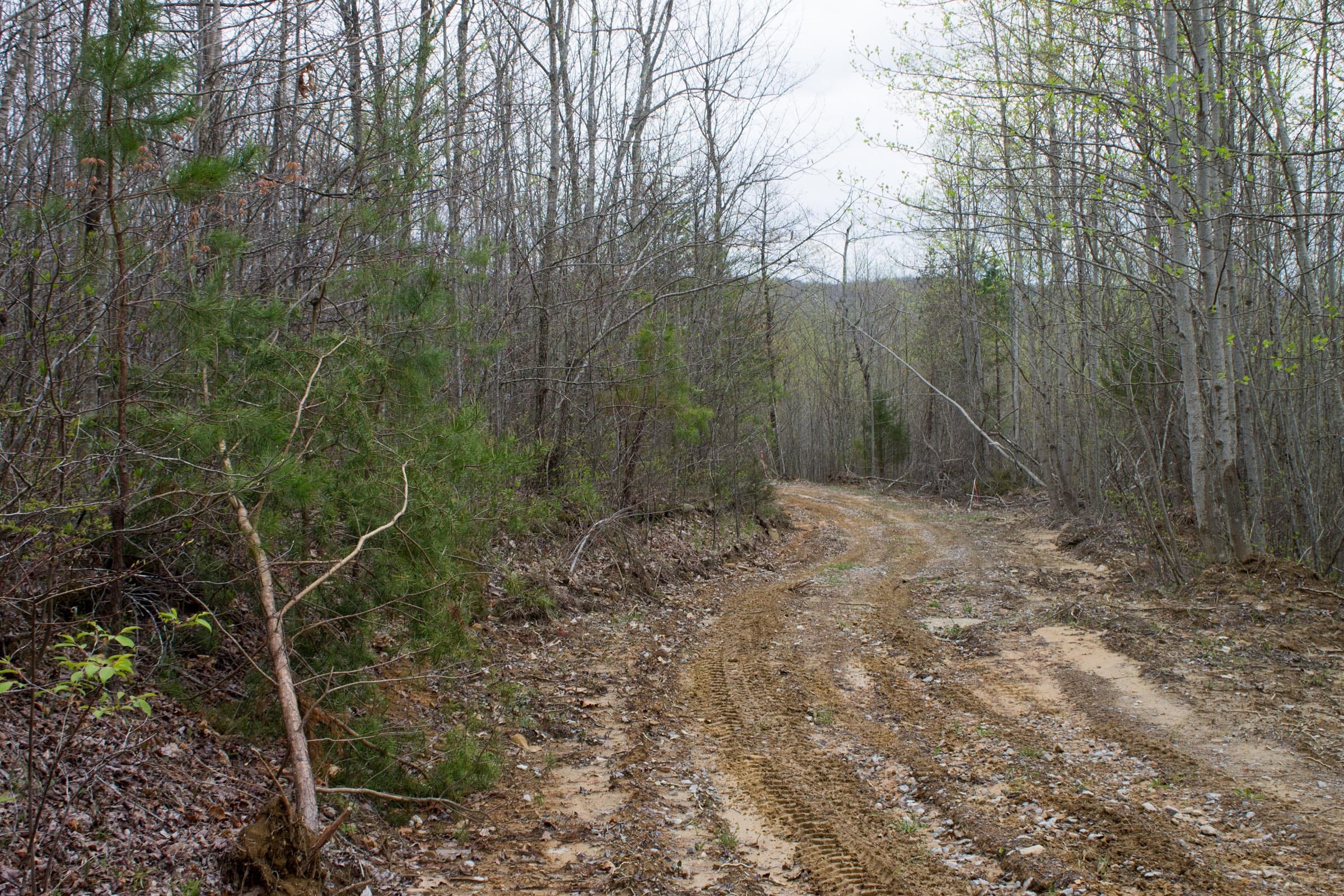 Hidden Hills Tract 36 photo 2