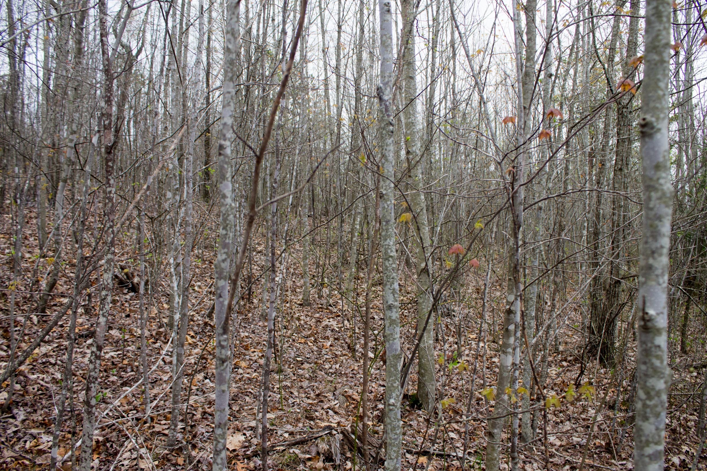 Hidden Hills Tract 36 photo 4