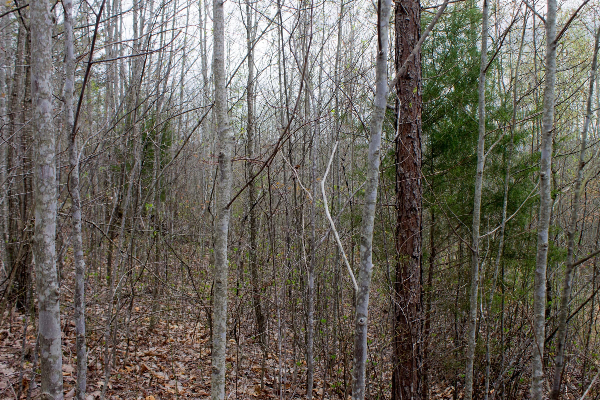 Hidden Hills Tract 36 photo 5