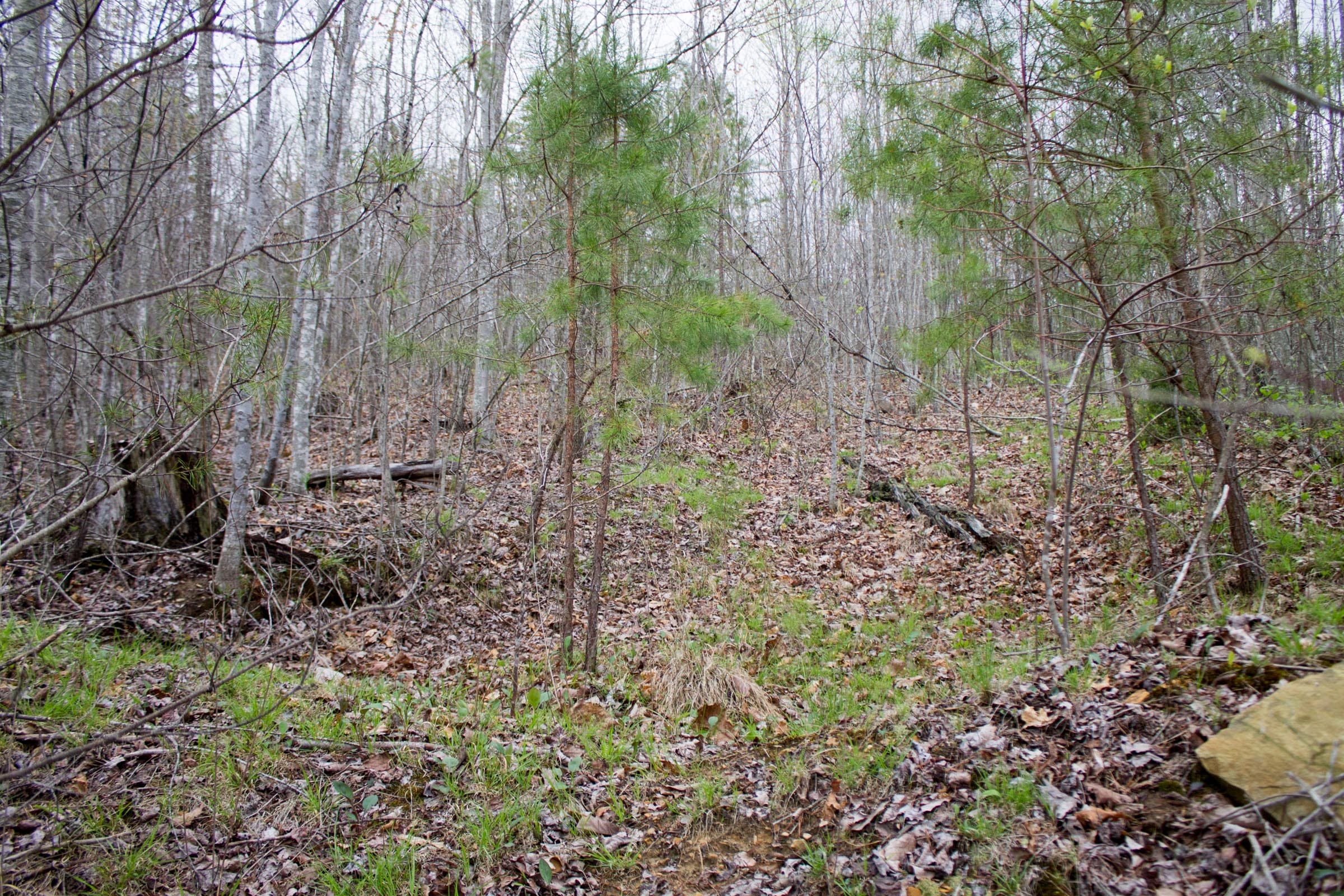 Hidden Hills Tract 36 photo 7