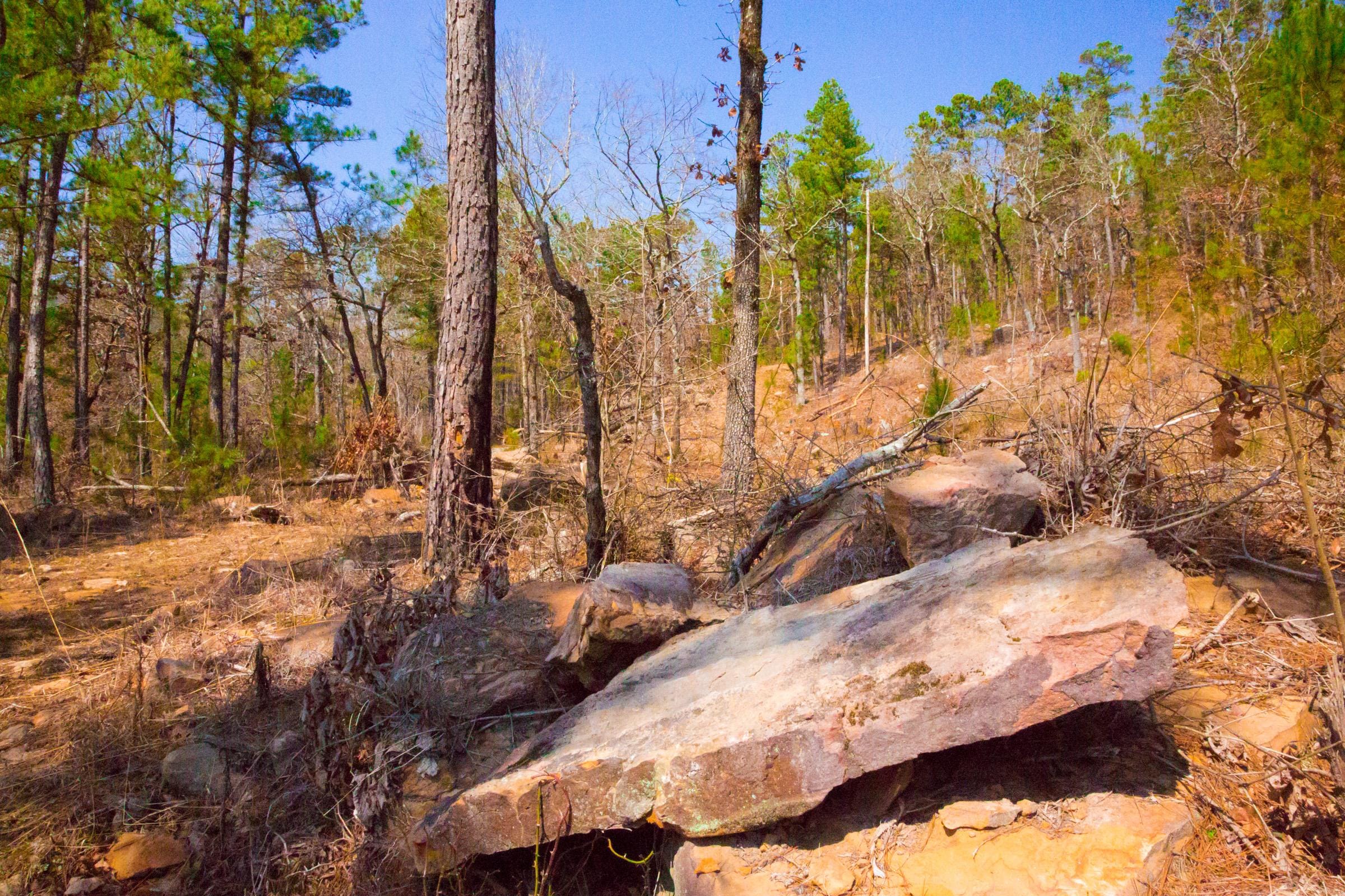 Stone Creek Phase II Tract 122 photo 6