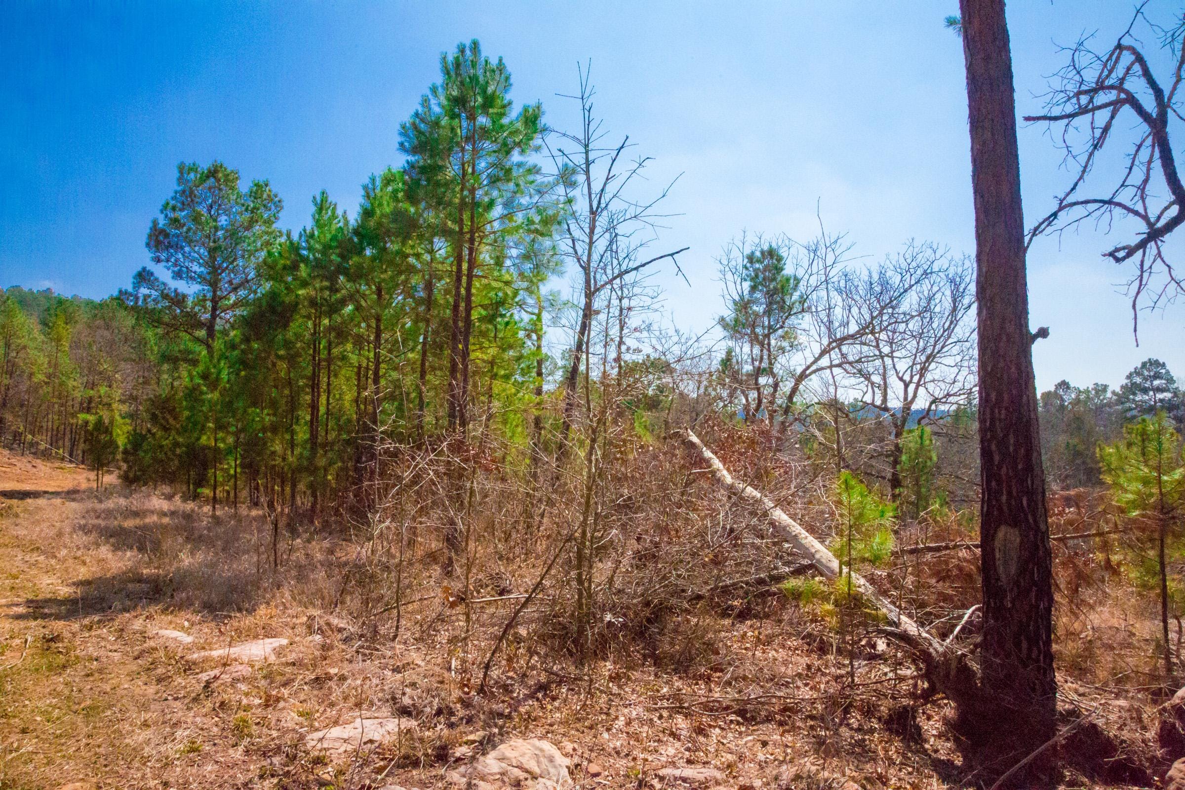 Stone Creek Phase II Tract 122 photo 7