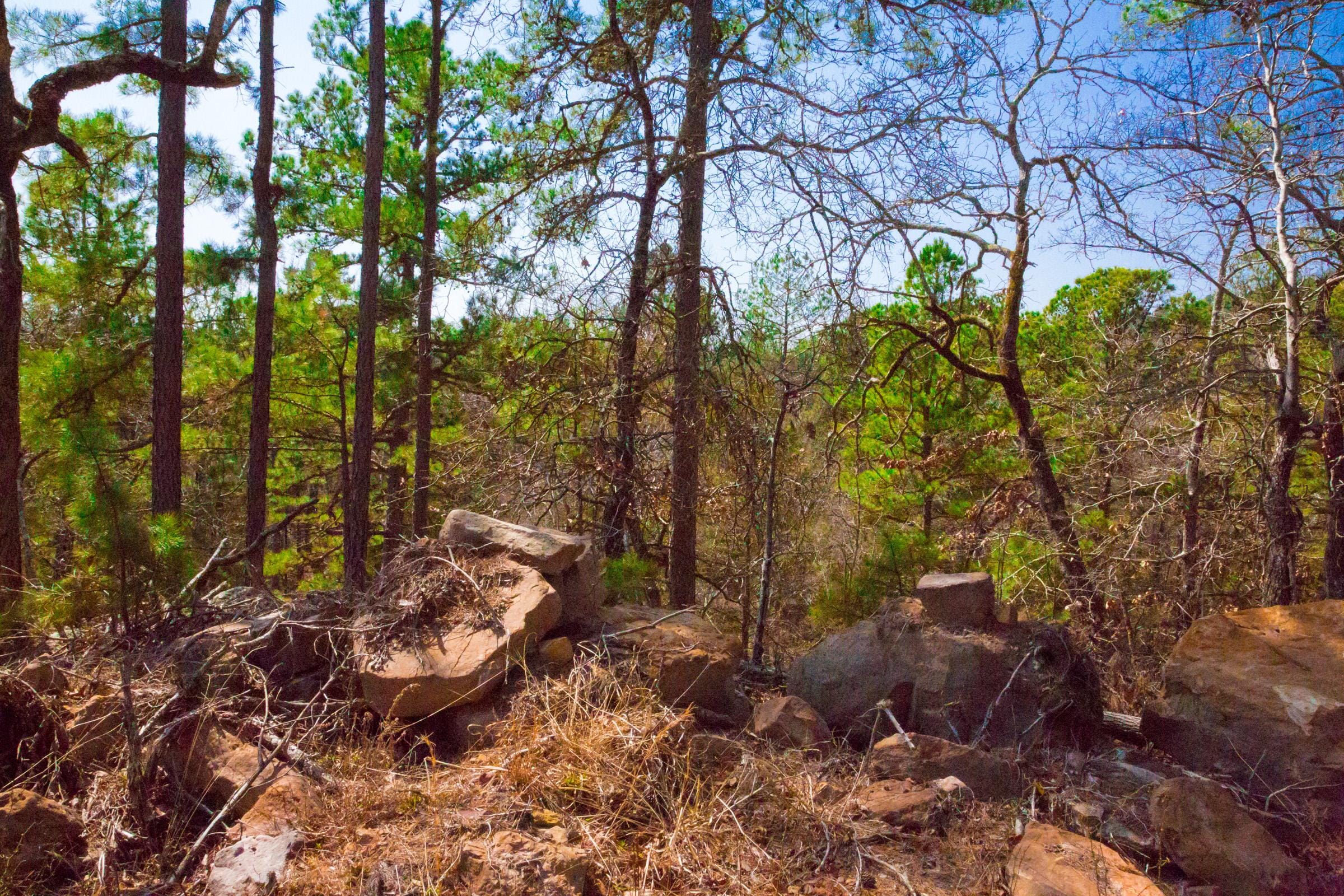 Stone Creek Phase II Tract 122 photo 8