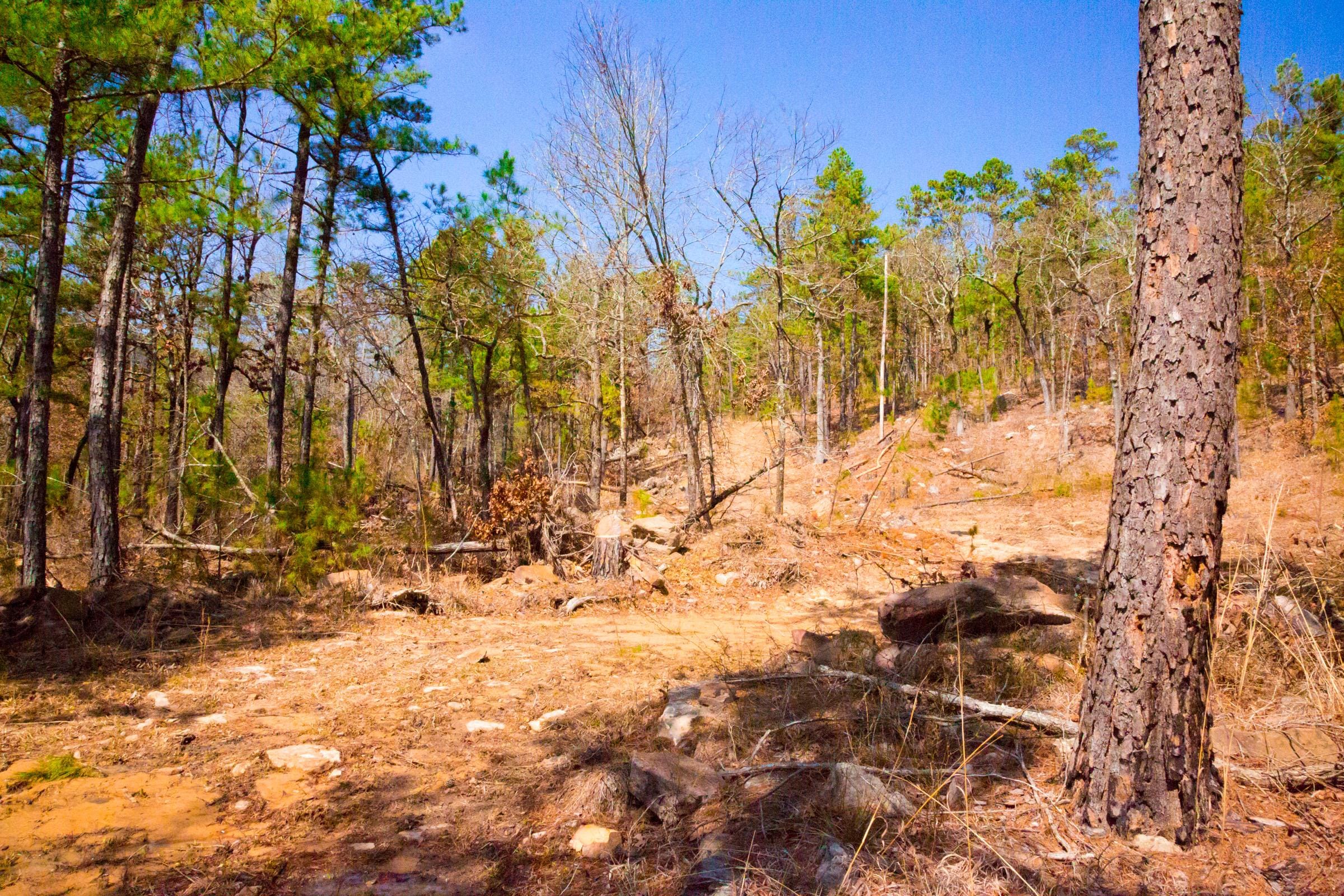 Stone Creek Phase II Tract 122 photo 9