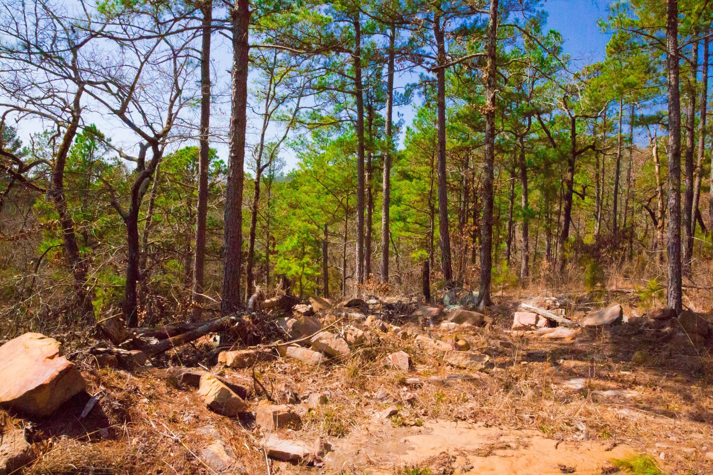 Stone Creek Phase II Tract 122 photo 10
