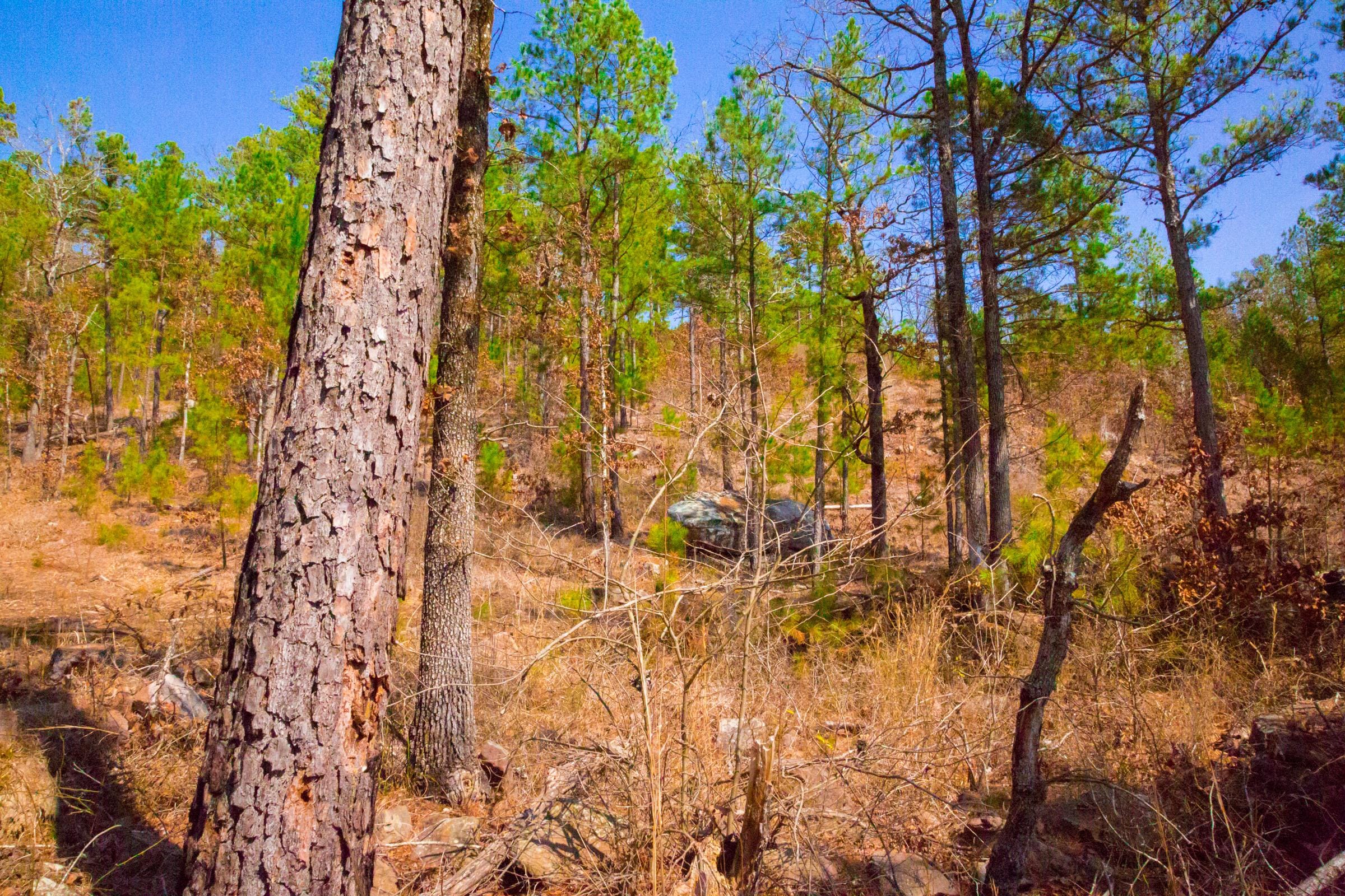 Stone Creek Phase II Tract 122 photo 11