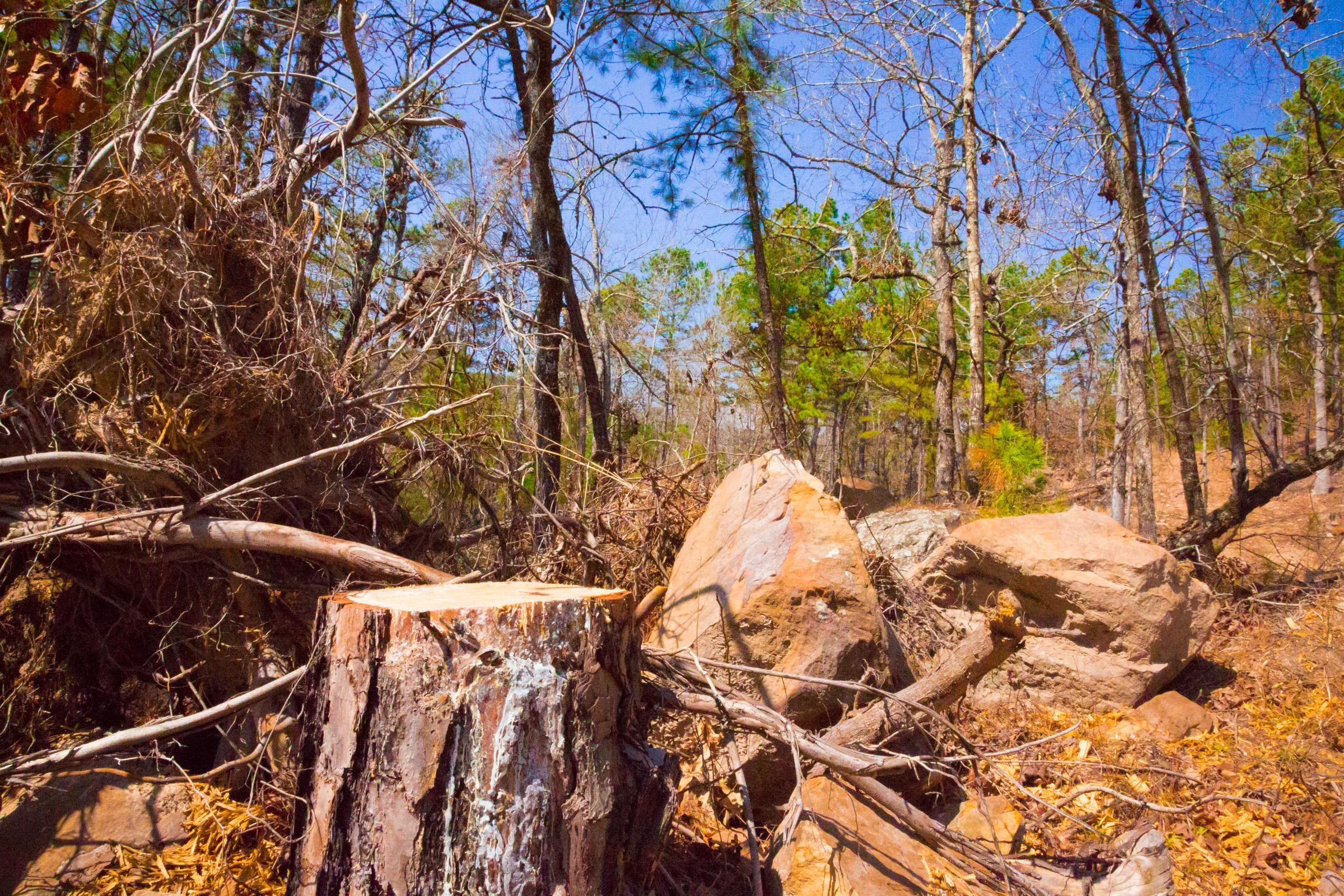 Stone Creek Phase II Tract 122 photo 12