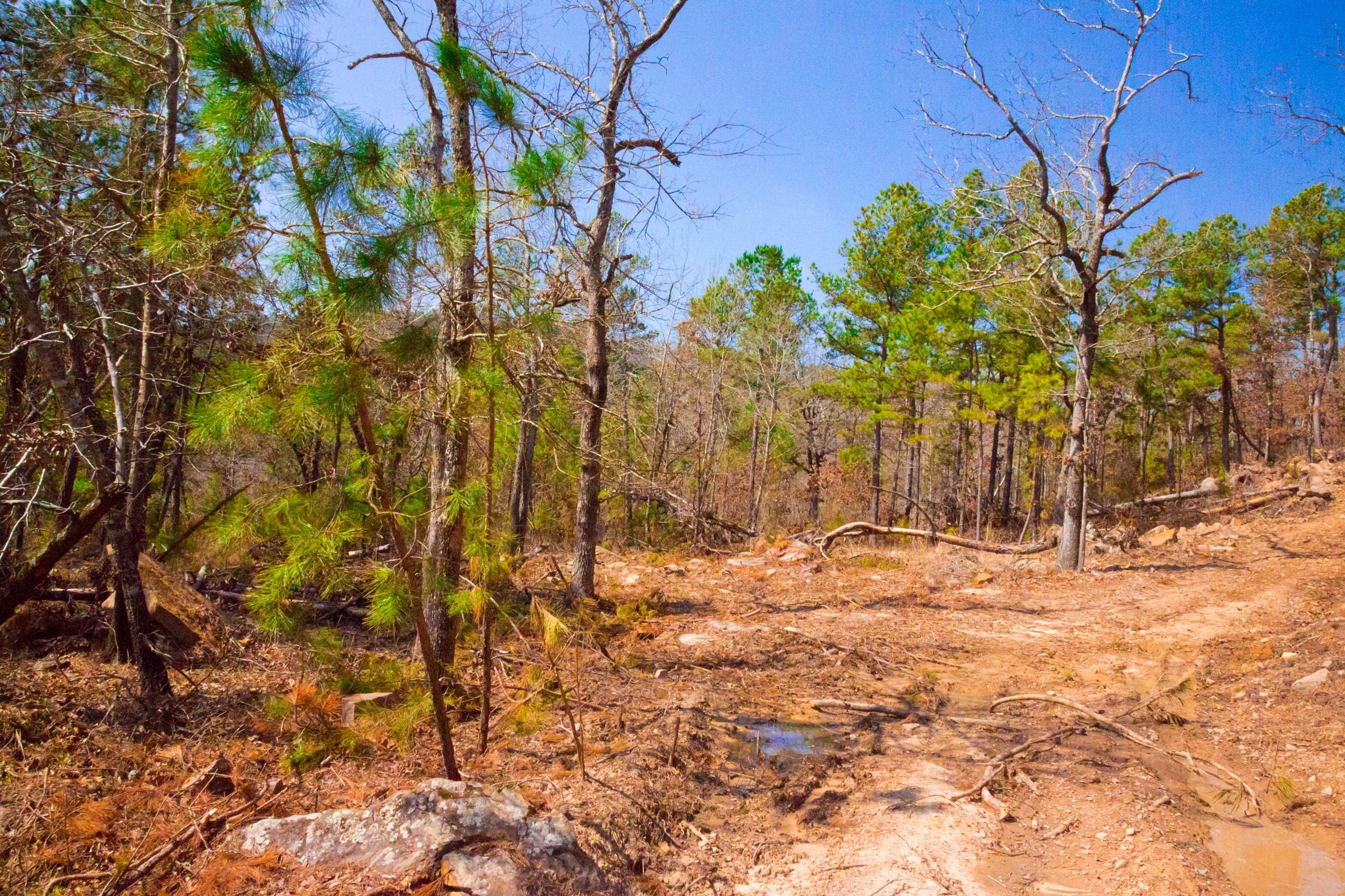 Stone Creek Phase II Tract 122 photo 13