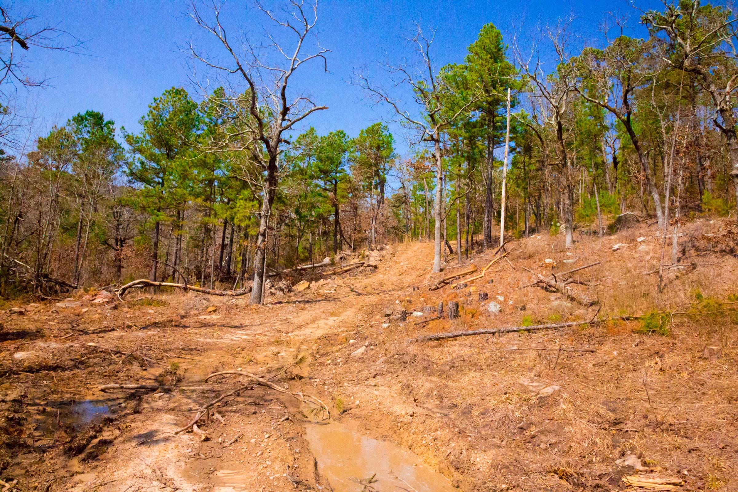Stone Creek Phase II Tract 122 photo 3