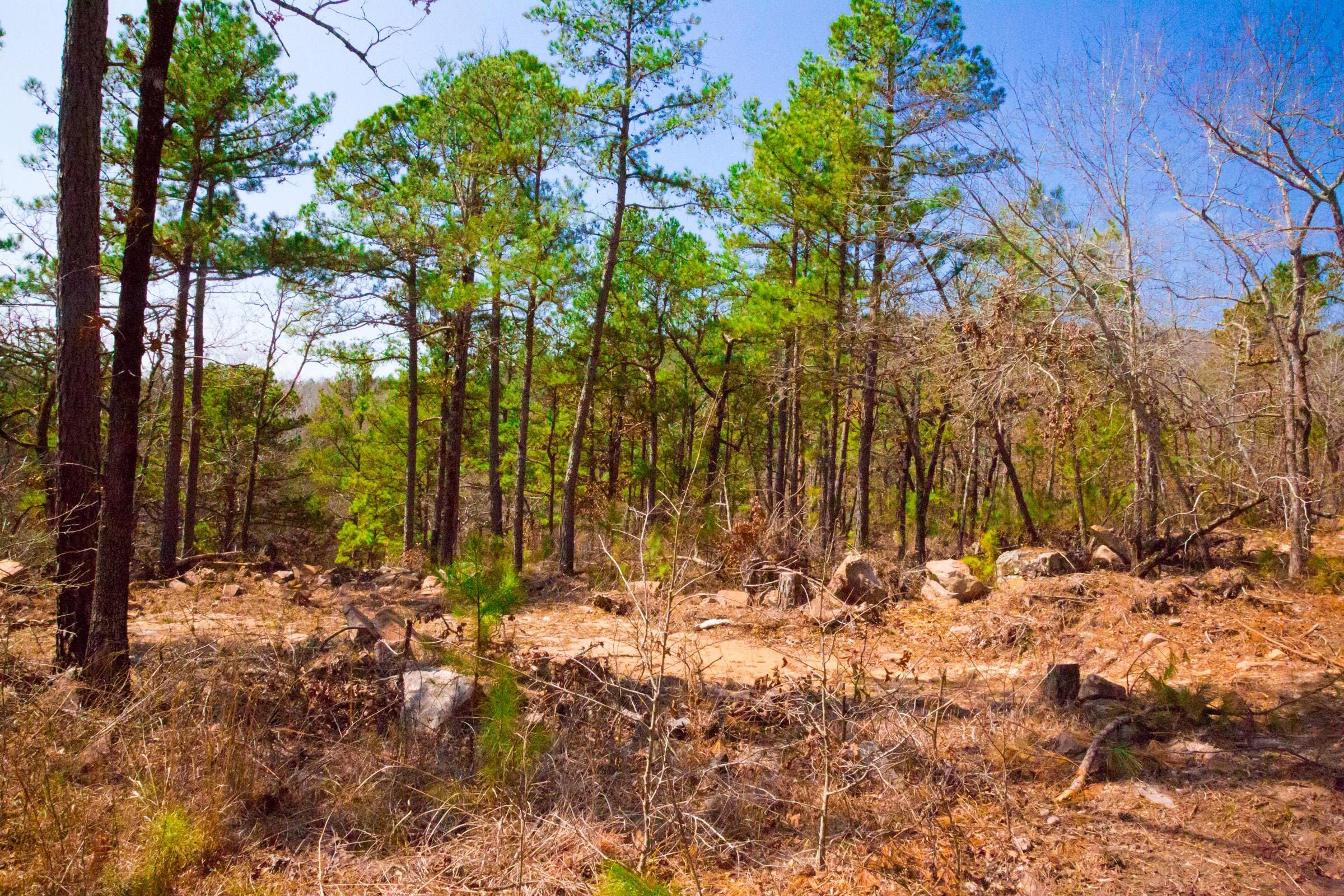 Stone Creek Phase II Tract 122 photo 14
