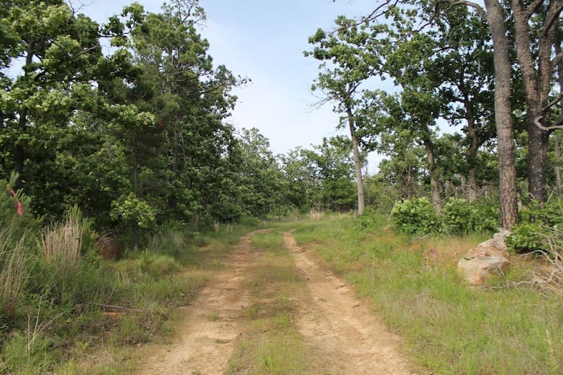 Indian Ridge – Phase II Tract 50 photo 1