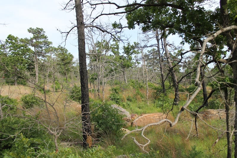 Indian Ridge – Phase II Tract 50 photo 3