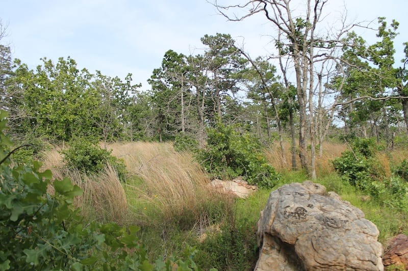 Indian Ridge – Phase II Tract 50 photo 5
