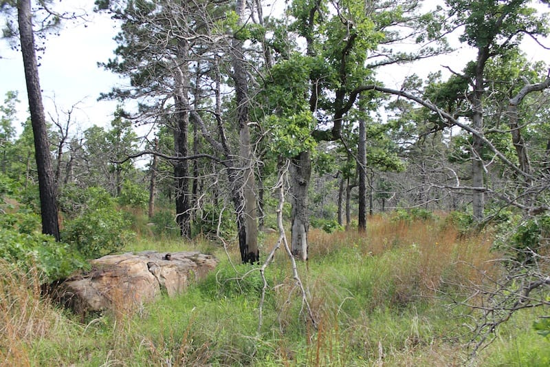 Indian Ridge – Phase II Tract 50 photo 7