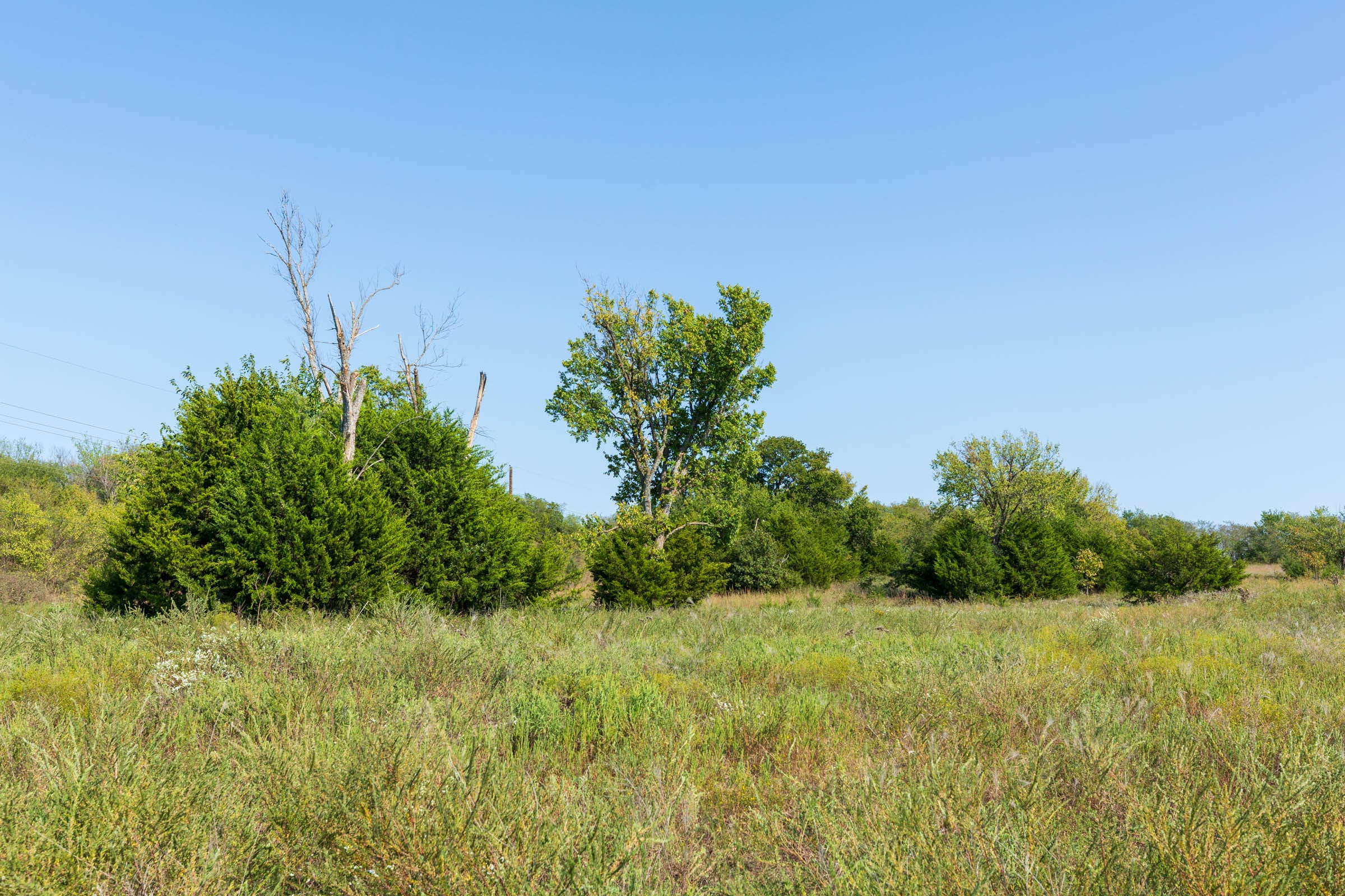 Canyon Creek Tract 1 photo 4