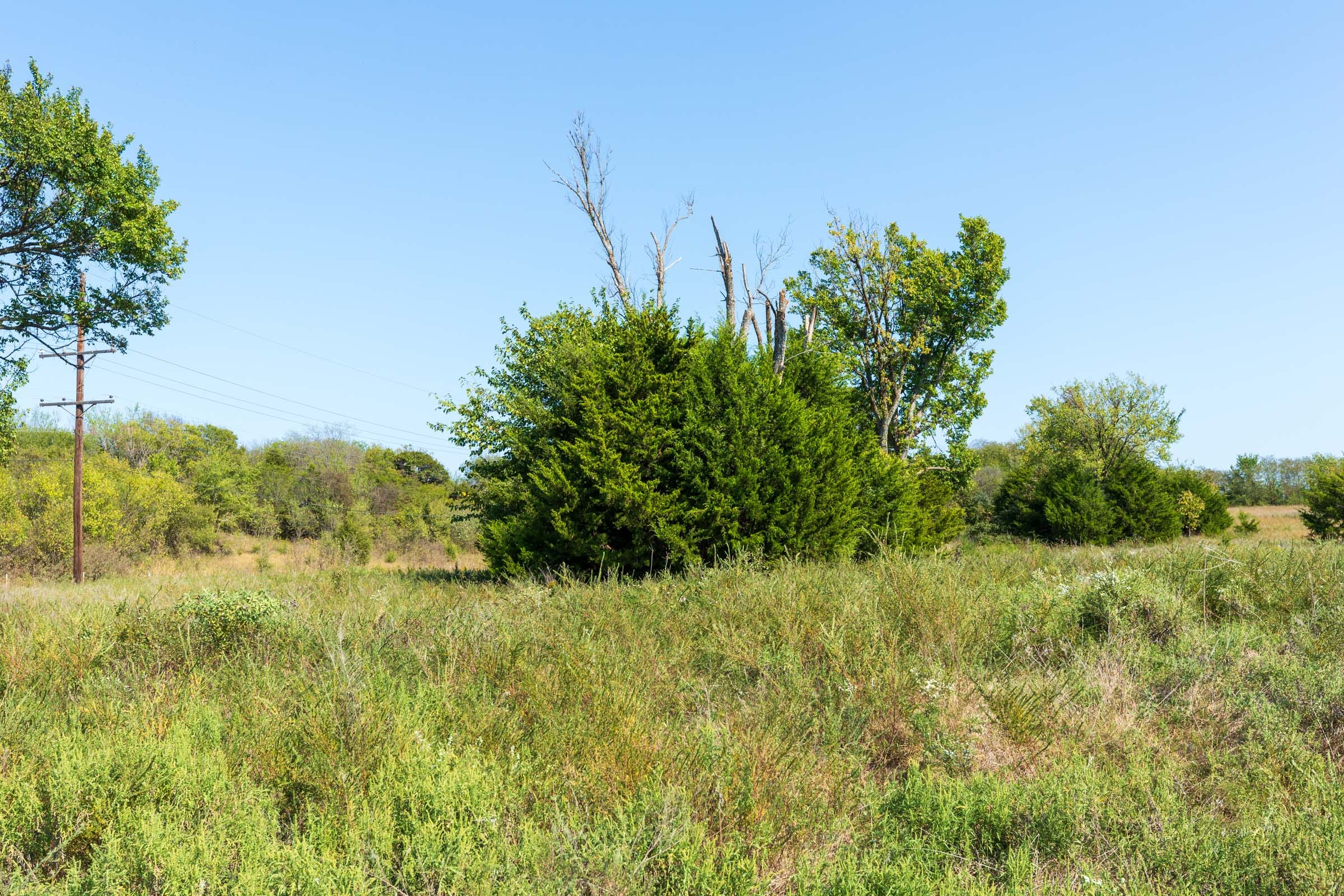 Canyon Creek Tract 1 photo 8