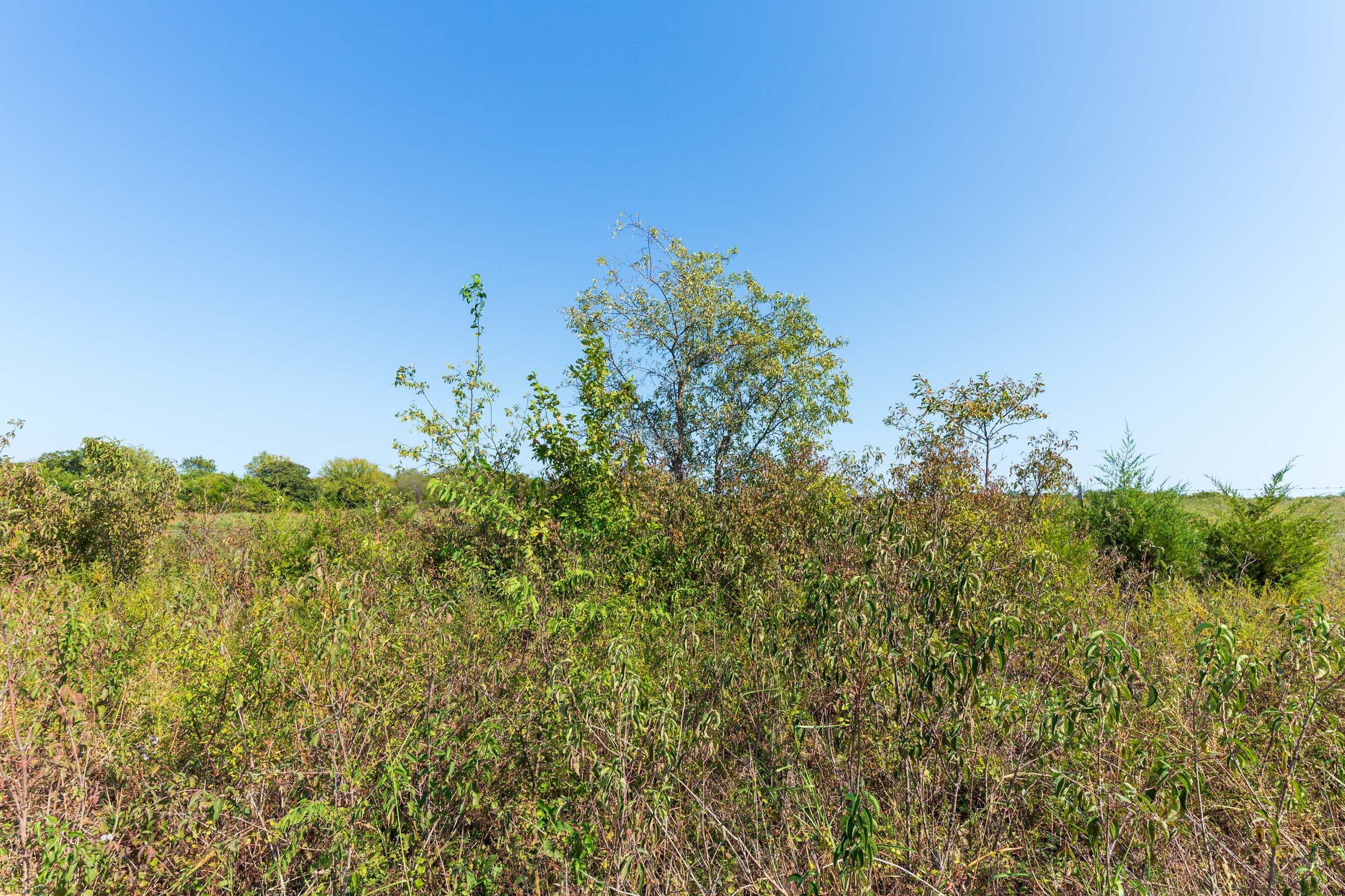 Canyon Creek Tract 1 photo 10