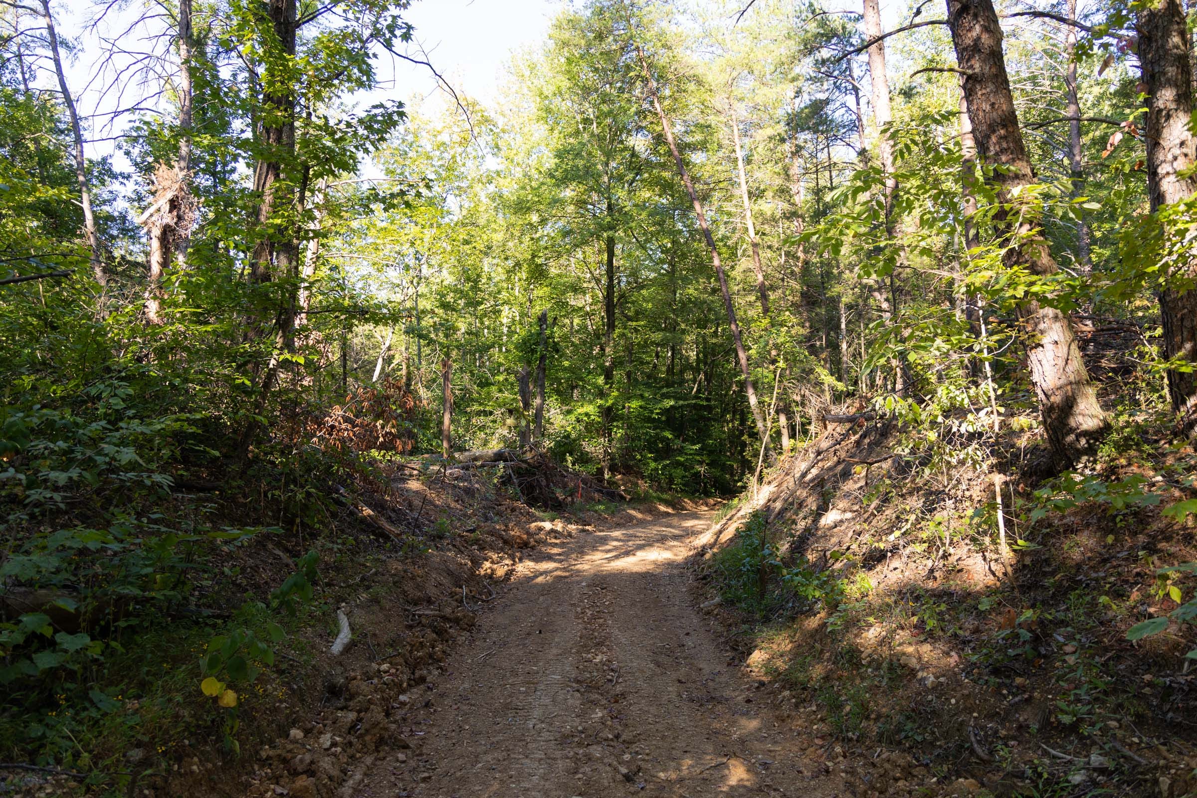 Big White Oak Tract 85 photo 1