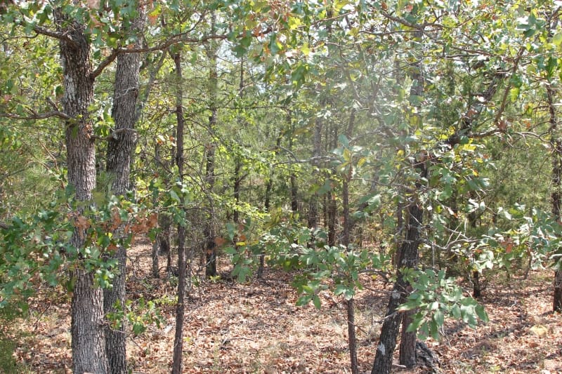 Lake View Ranch Tract 5 photo 3