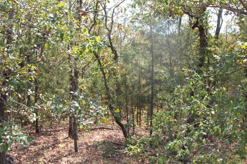 Lake View Ranch Tract 5 photo 4
