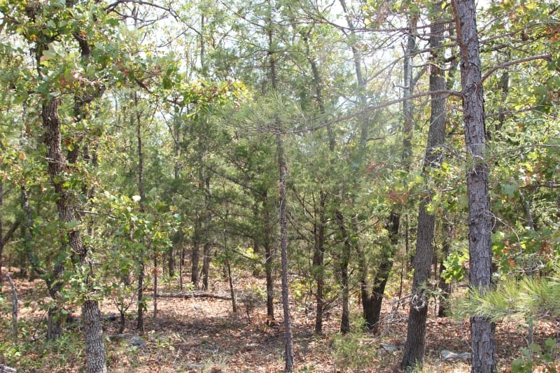 Lake View Ranch Tract 5 photo 5
