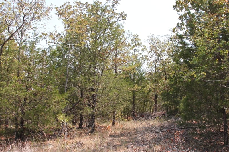 Lake View Ranch Tract 5 photo 6